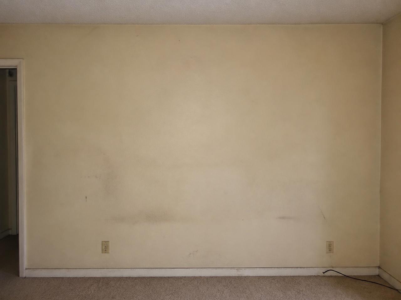 Dull, scuffed beige wall before painting